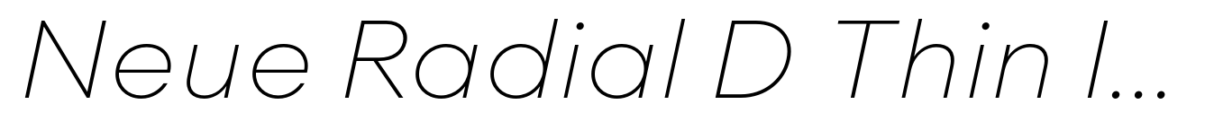 Neue Radial D Thin Italic